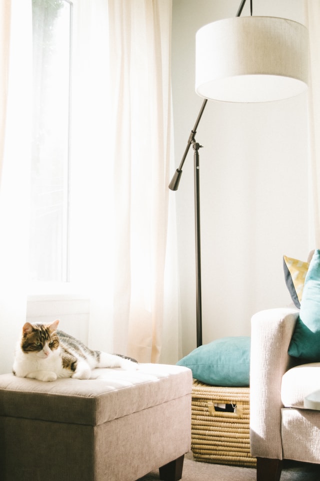 Refined contemporary interior styling by NL Dream Interiors, Brooklyn NY